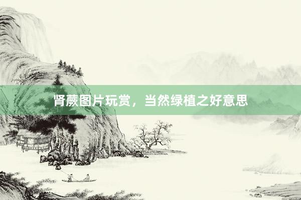 肾蕨图片玩赏，当然绿植之好意思